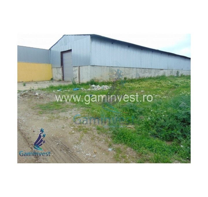 Complex de hale, cladire de birouri de vanzare,zona industriala Vest ,Oradea