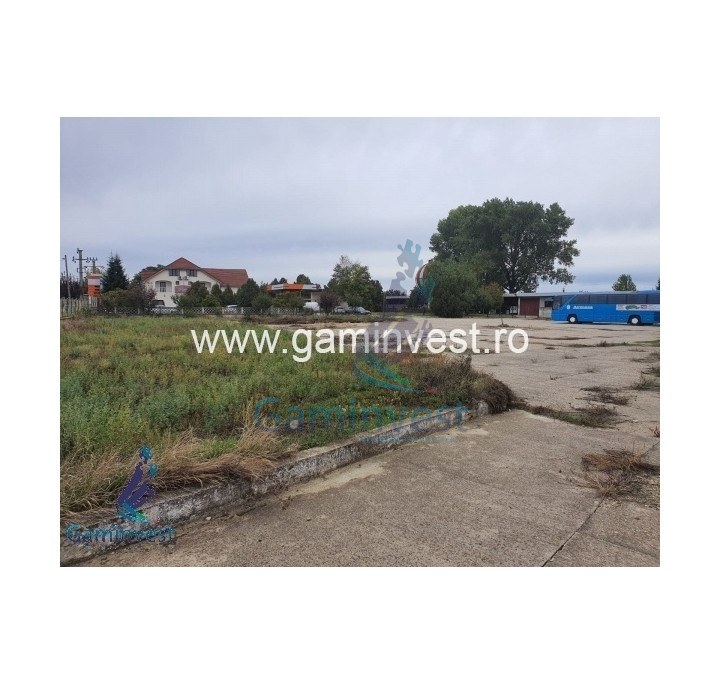Business Opportunity - Agro-tourist guesthouse, gas station, land and buildings for sale in Bihor, Romania