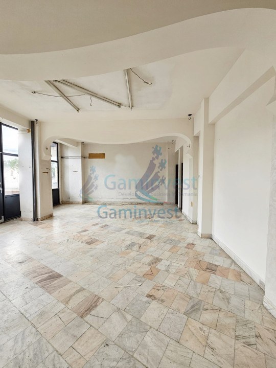 Villa with 10 rooms and swimming pool for sale, central Oradea, Romania