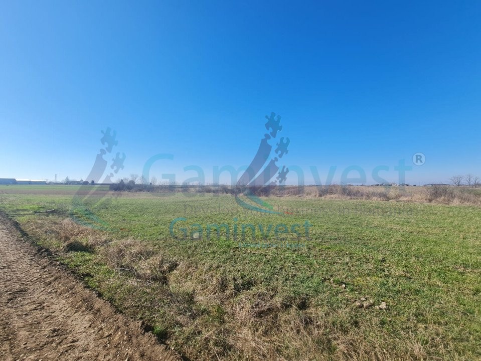 Teren intravilan de vanzare, Nojorid, Bihor