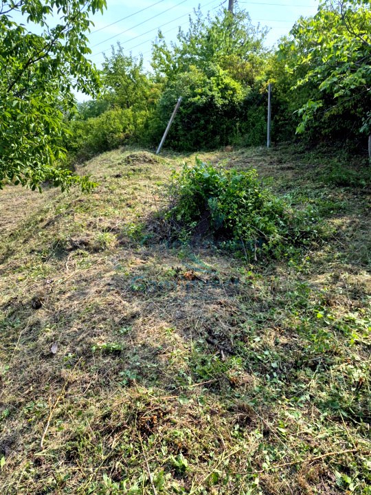 Teren in zona verde aproape de oras, zona Doja, Oradea