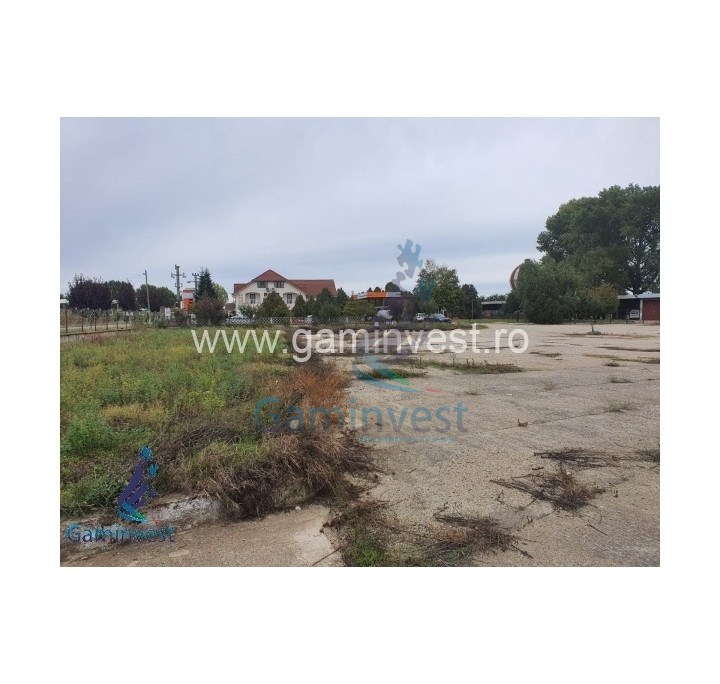Business Opportunity - Agro-tourist guesthouse, gas station, land and buildings for sale in Bihor, Romania