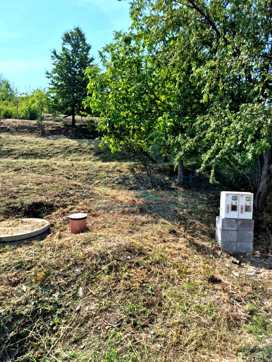 Teren in zona verde aproape de oras, zona Doja, Oradea