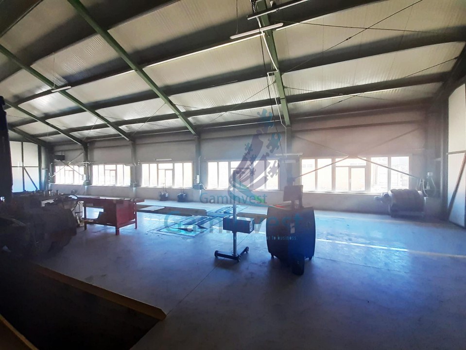 Industrial warehouse for sale in Romania