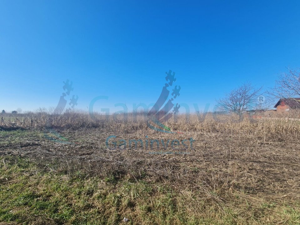 Teren intravilan de vanzare, Nojorid, Bihor