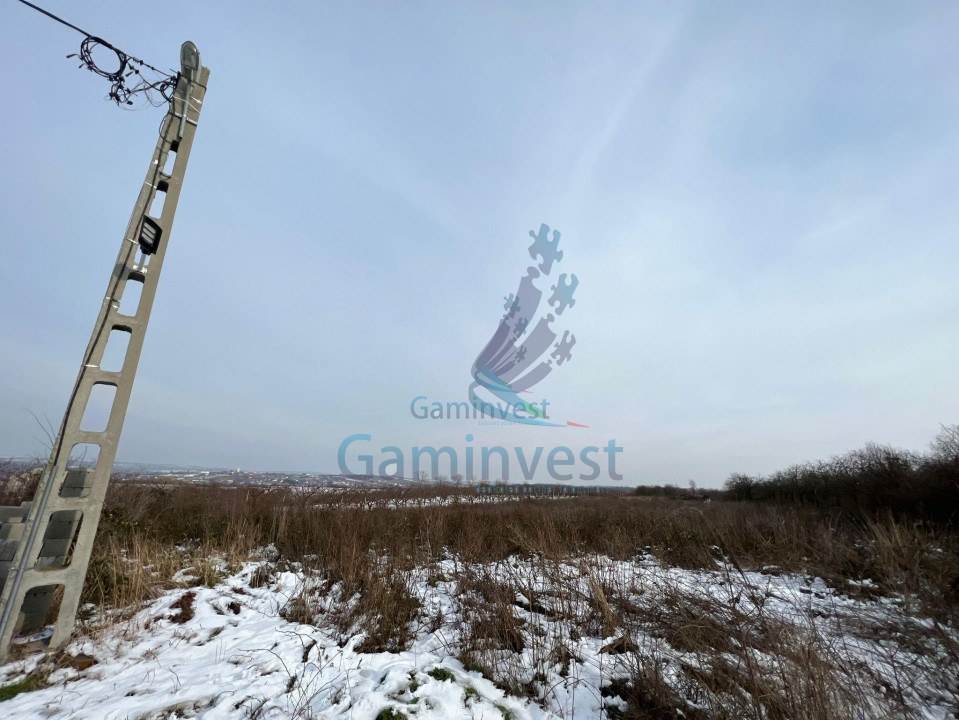 Land for sale in Paleu, Bihor, Romania