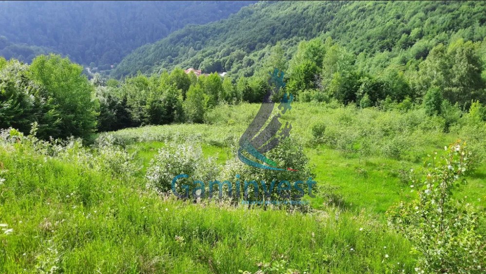 Teren intravilan de vanzare zona Boga, Bihor, Romania